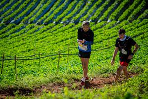 BIB: 
                            <button type="button" onclick="openModal(19161387)" class="btn btn-primary btn-sm float-right btn-popup" data-toggle="modal" data-target=".modal-high-quality">
                        <i class="fas fa-shopping-cart"></i> Add to Cart
                    </button>
                                            <button type="button" onclick="isThisMe(19161387, true)" class="btn btn-success btn-sm float-right btn-popup btn-isme hidden" data-toggle="tooltip" data-placement="bottom" title="นี่คือรูปของคุณใช่ไหม คลิกที่นี่เพื่อเอาเข้าอัลบั้ม">
                        <i class="fas fa-plus"></i> Add to album
                    </button>
                    <button type="button" onclick="isThisMe(19161387, false)" class="btn btn-warning btn-sm float-right btn-popup btn-isnotme hidden">
                        <i class="fas fa-ban"></i> Remove from album
                    </button>